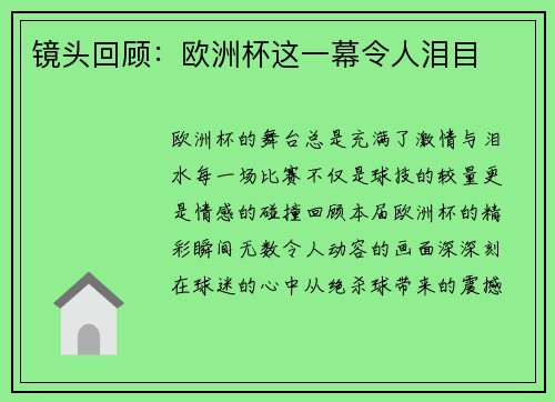 镜头回顾：欧洲杯这一幕令人泪目